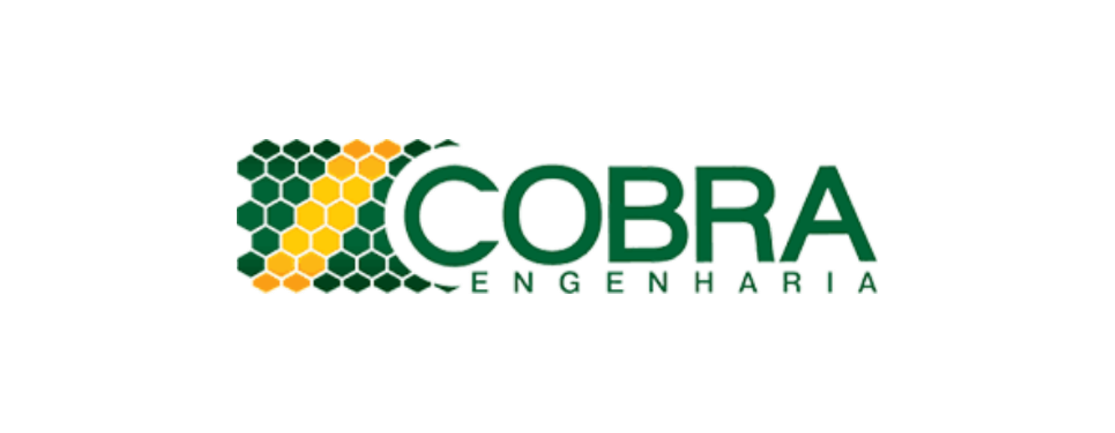 R Cobra Engenharia